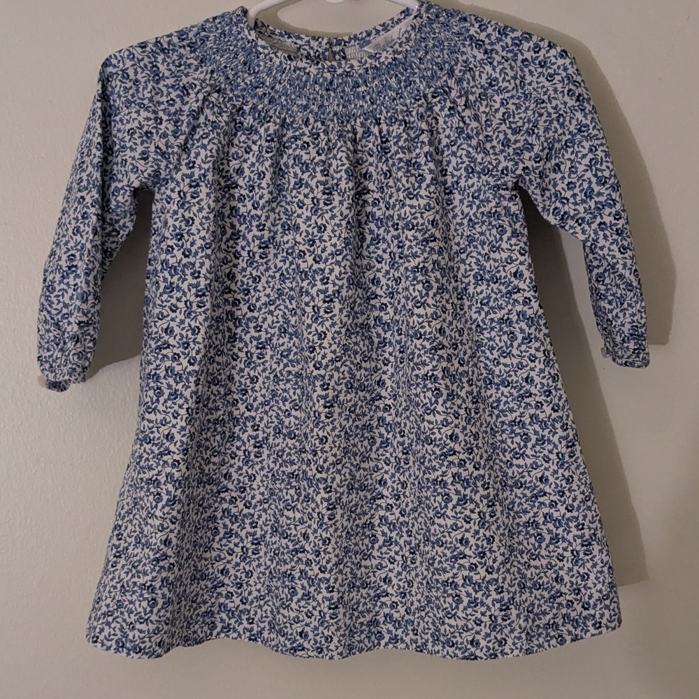 Polo by Ralph Lauren Blue Floral Kids Casual Dress
